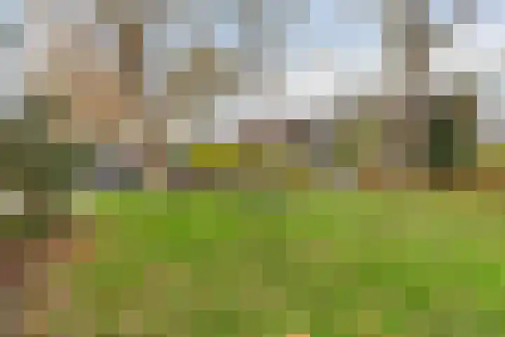 Meidoornstraat 17 Leiderdorp thumbnail 32