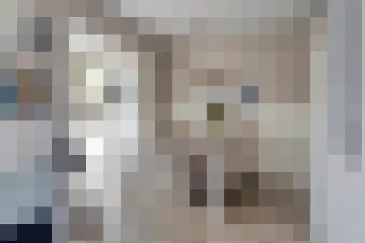Meidoornstraat 17 Nieuwerkerk thumbnail 11