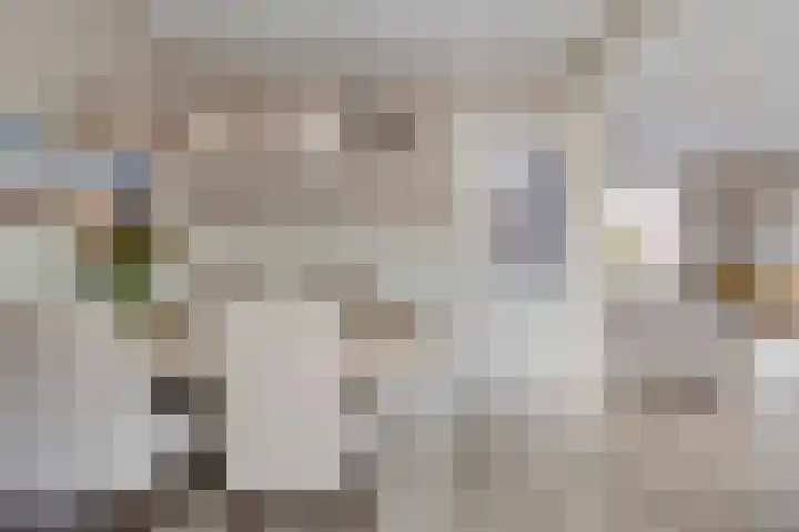 Meidoornstraat 17 Nieuwerkerk thumbnail 12