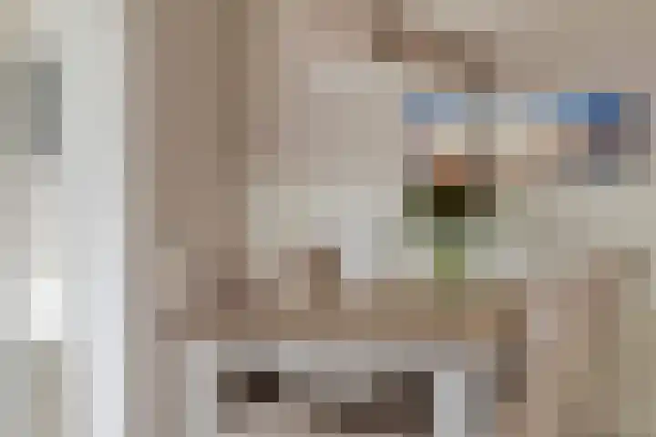 Meidoornstraat 17 Nieuwerkerk thumbnail 14