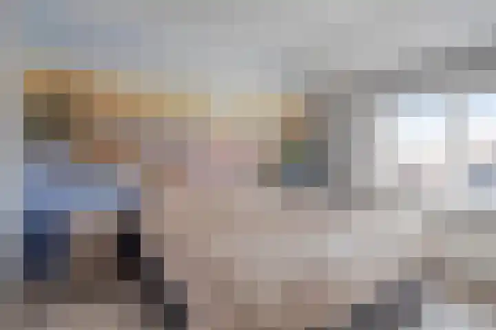 Meidoornstraat 17 Nieuwerkerk thumbnail 19