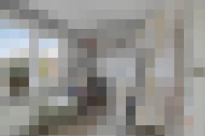 Meidoornstraat 17 Nieuwerkerk thumbnail 23