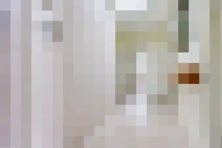 Meidoornstraat 17 Putte thumbnail 11
