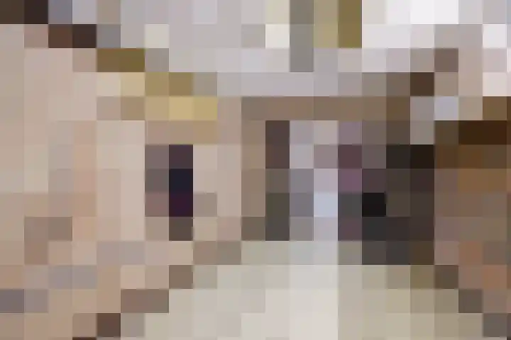 Meidoornstraat 17 Putte thumbnail 21