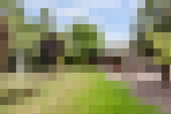 Meidoornstraat 17 Putte thumbnail 23