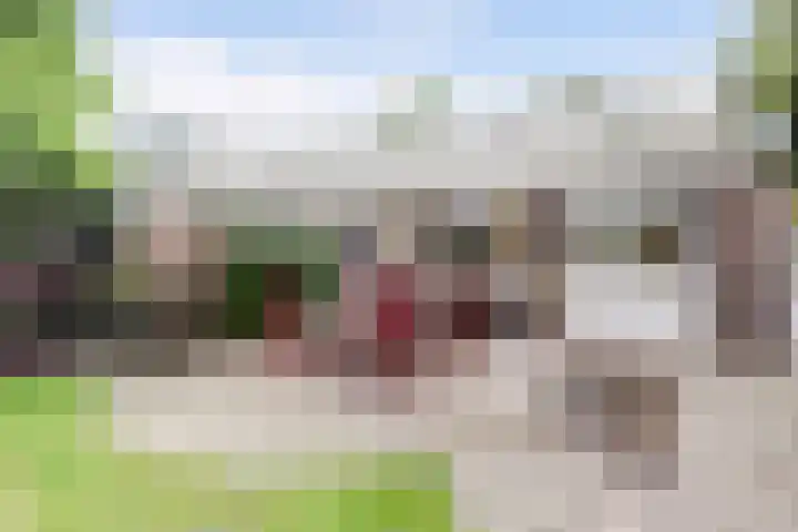 Meidoornstraat 17 Putte thumbnail 24
