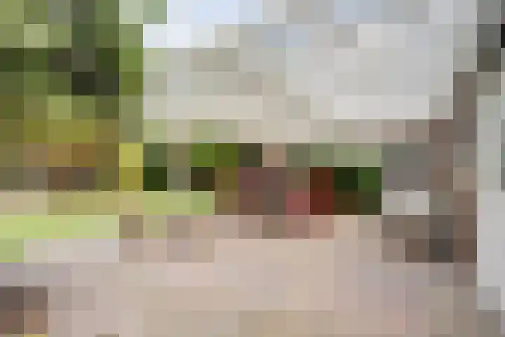 Meidoornstraat 17 Putte thumbnail 25