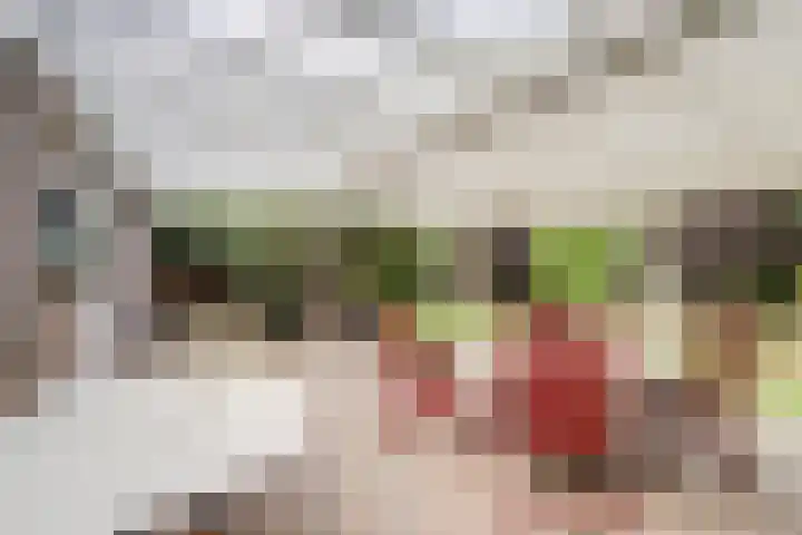 Meidoornstraat 17 Putte thumbnail 26