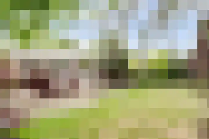 Meidoornstraat 17 Putte thumbnail 27