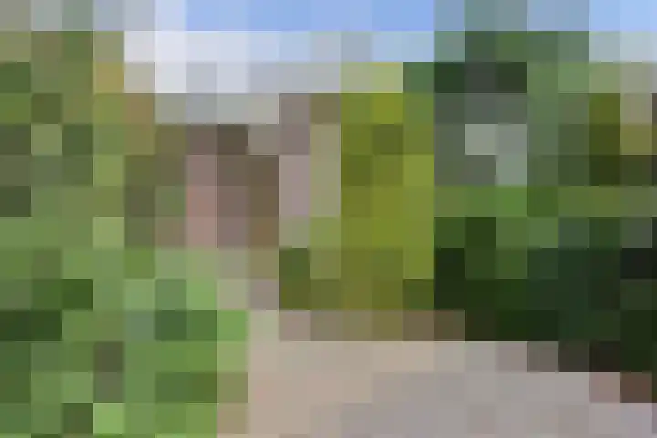 Meidoornstraat 17 Putte thumbnail 29