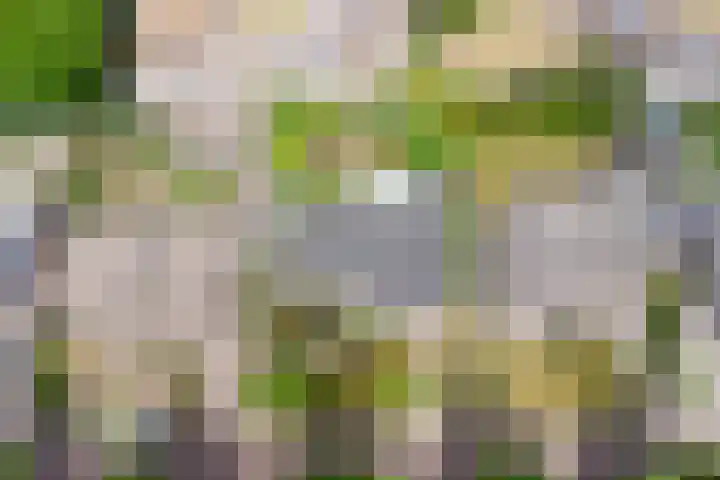 Meidoornstraat 17 Putte thumbnail 30