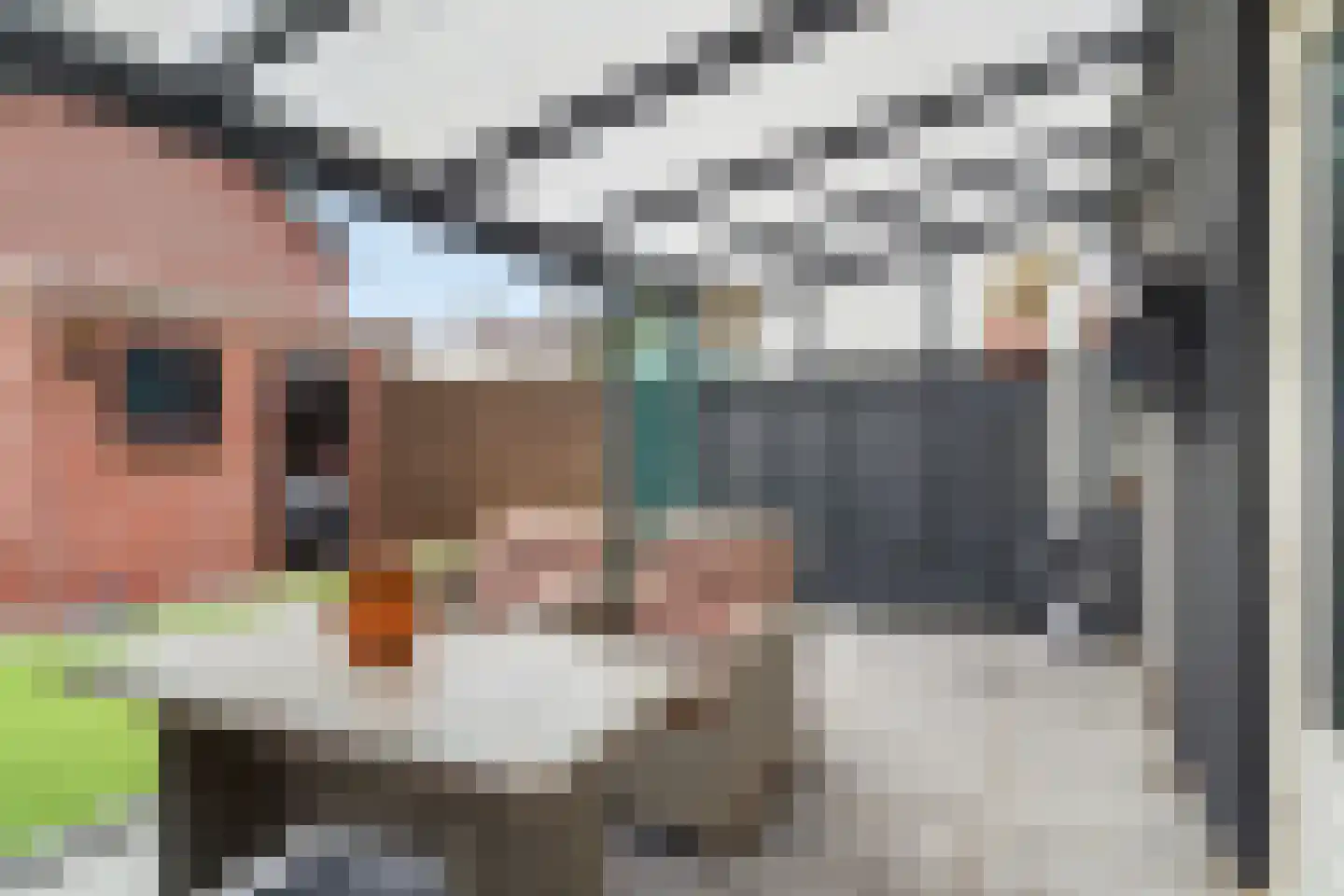 Meidoornstraat 17 Sint-Michielsgestel thumbnail 15