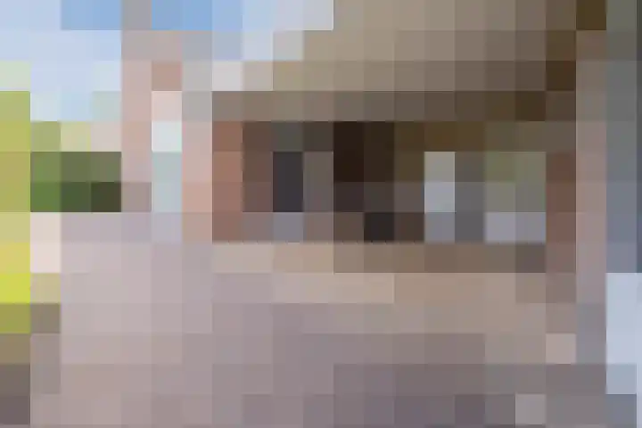 Meidoornstraat 17 Sint-Oedenrode thumbnail 41