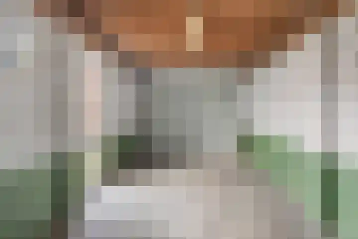 Meidoornstraat 17 Veghel thumbnail 22