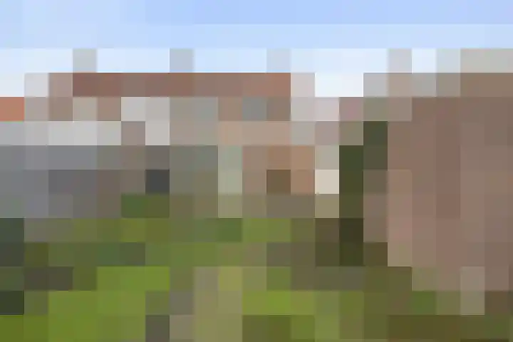 Meidoornstraat 17 Veghel thumbnail 26