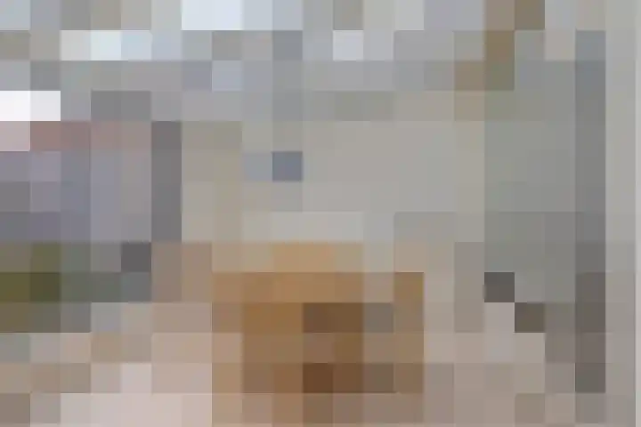 Meidoornstraat 17 Veghel thumbnail 4