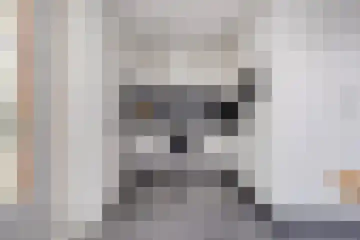Meidoornstraat 18 Dongen thumbnail 14