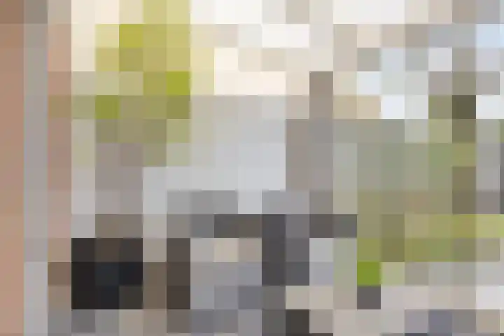 Meidoornstraat 18 Dongen thumbnail 17
