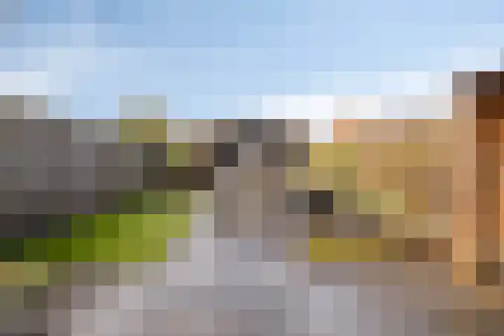 Meidoornstraat 18 Dongen thumbnail 24