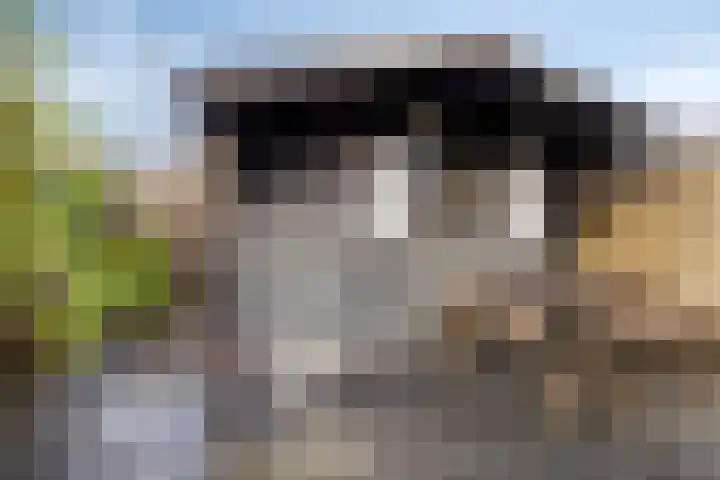Meidoornstraat 18 Dongen thumbnail 26