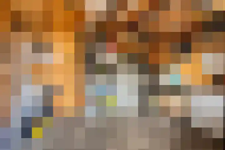 Meidoornstraat 18 Dongen thumbnail 27