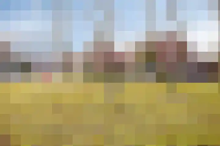 Meidoornstraat 18 Dongen thumbnail 29