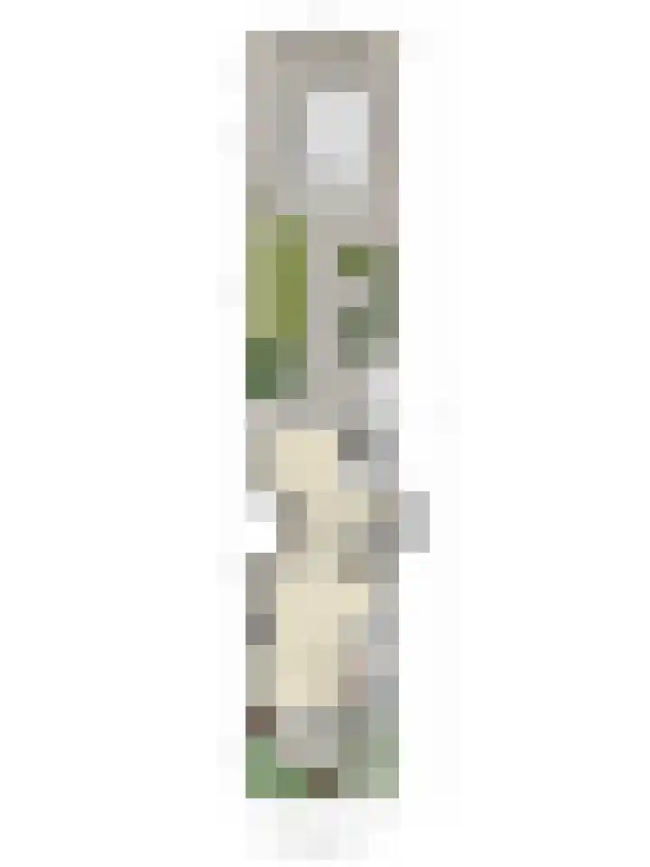 Meidoornstraat 18 Dongen thumbnail 31