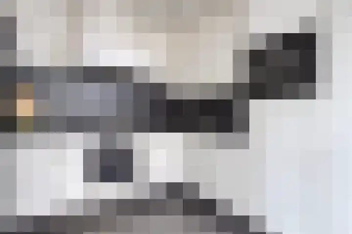 Meidoornstraat 18 Dongen thumbnail 4