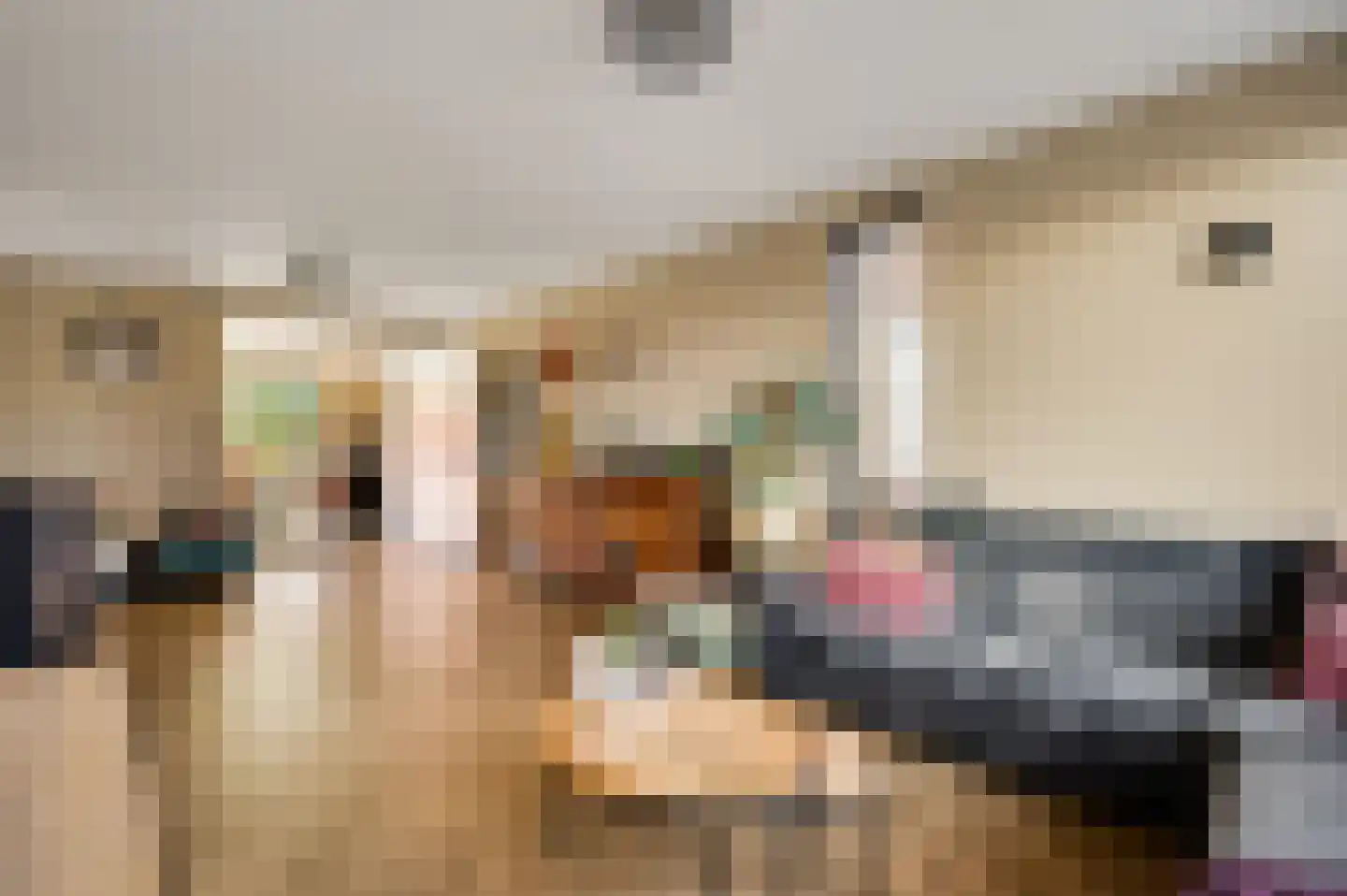 Meidoornstraat 18 Grathem thumbnail 13