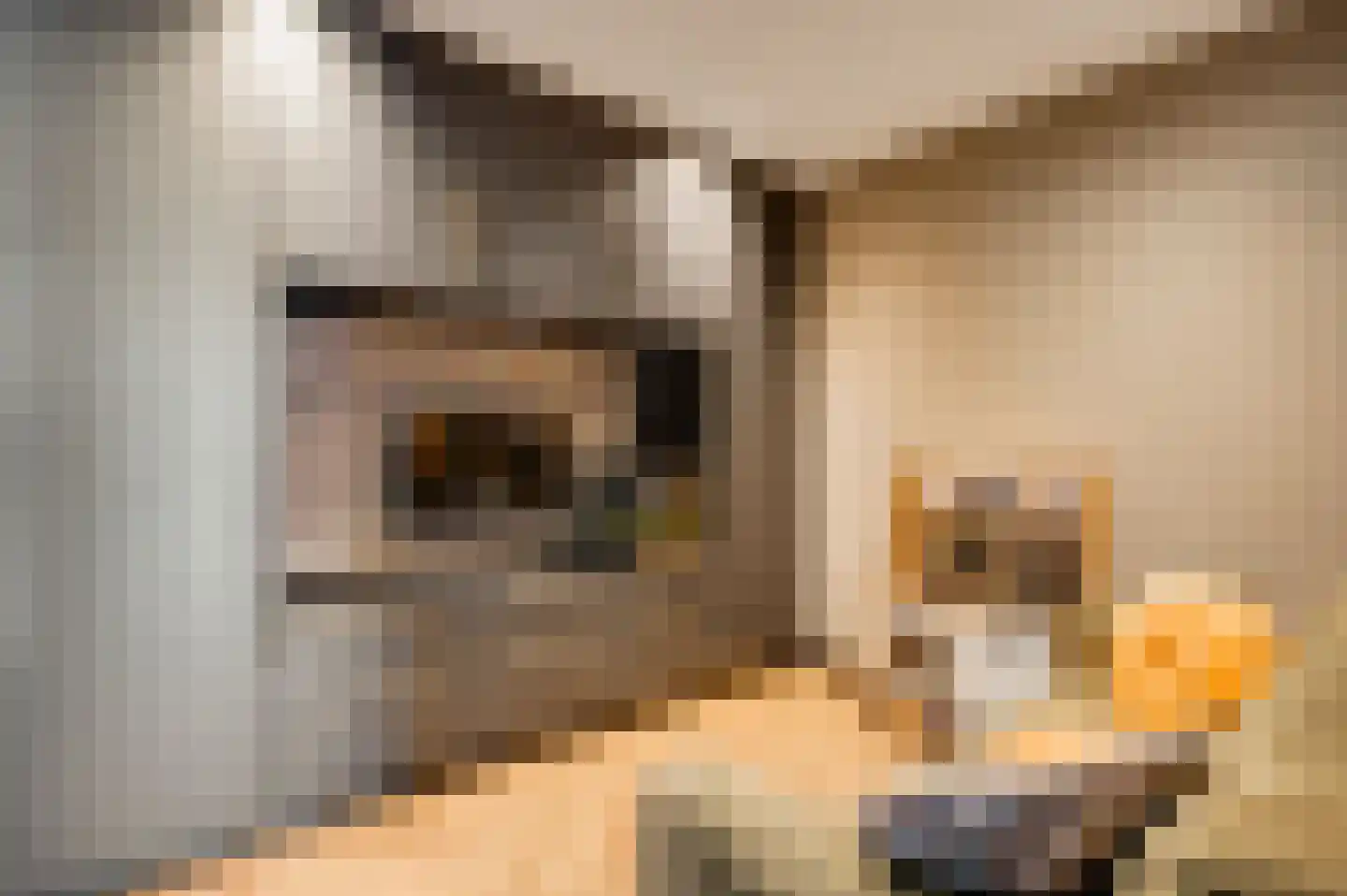 Meidoornstraat 18 Grathem thumbnail 19