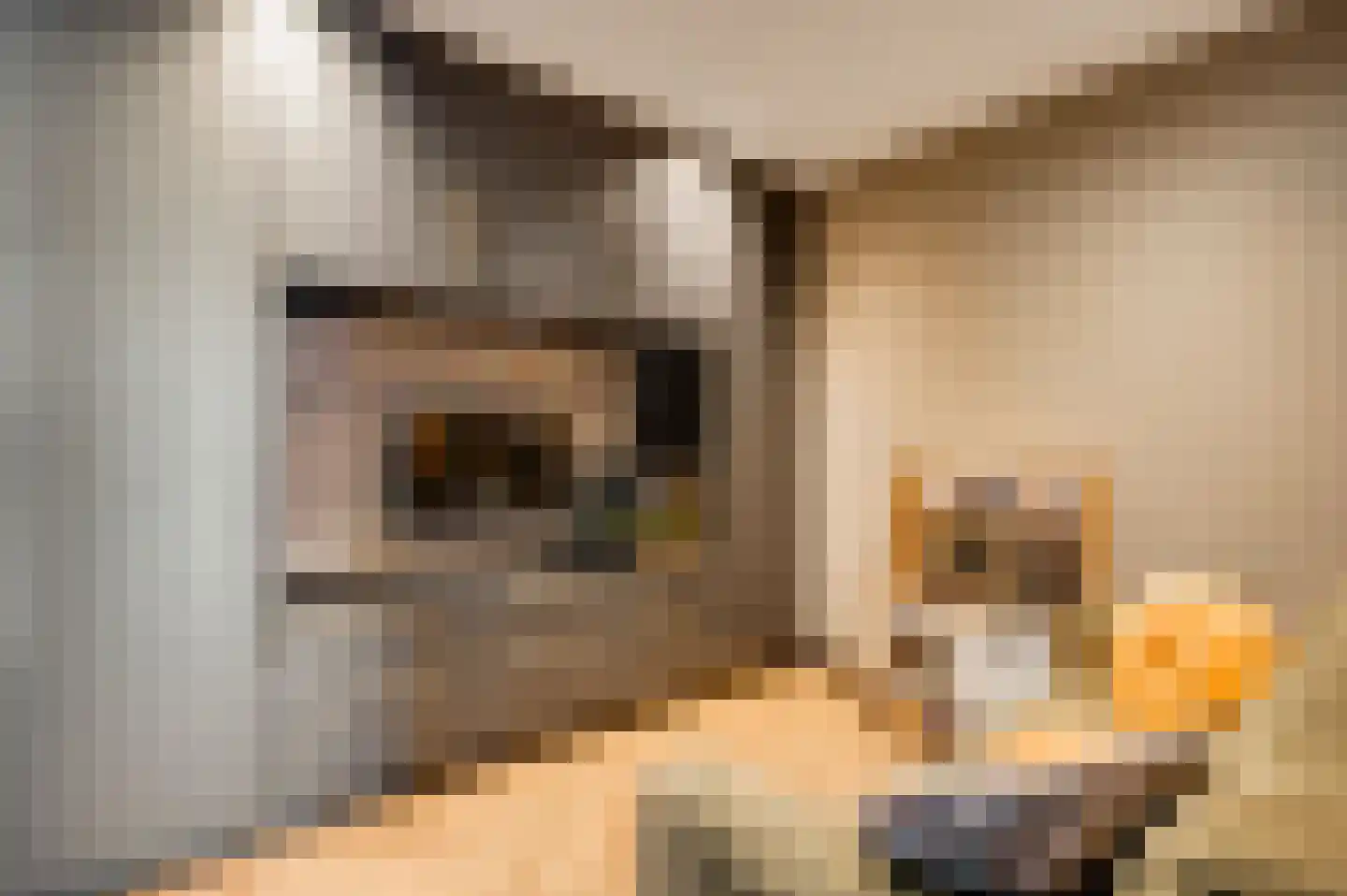 Meidoornstraat 18 Grathem thumbnail 20