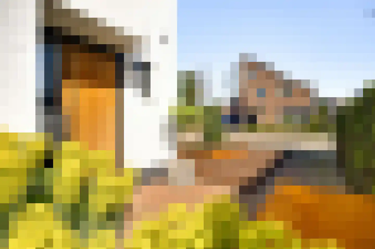 Meidoornstraat 18 Grathem thumbnail 4