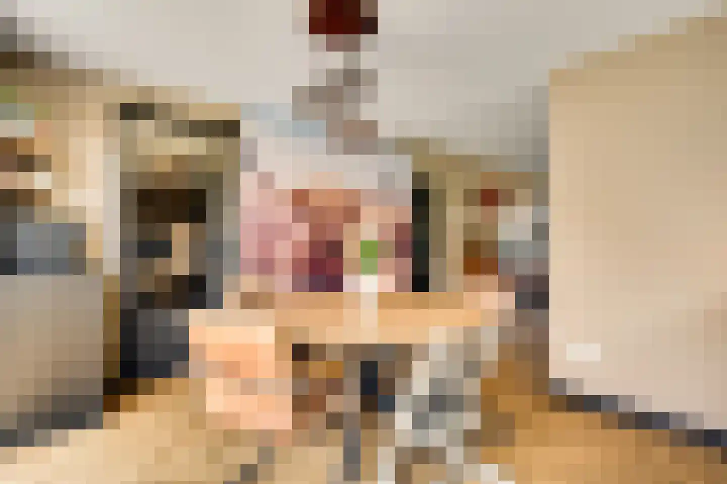Meidoornstraat 18 Grathem thumbnail 7