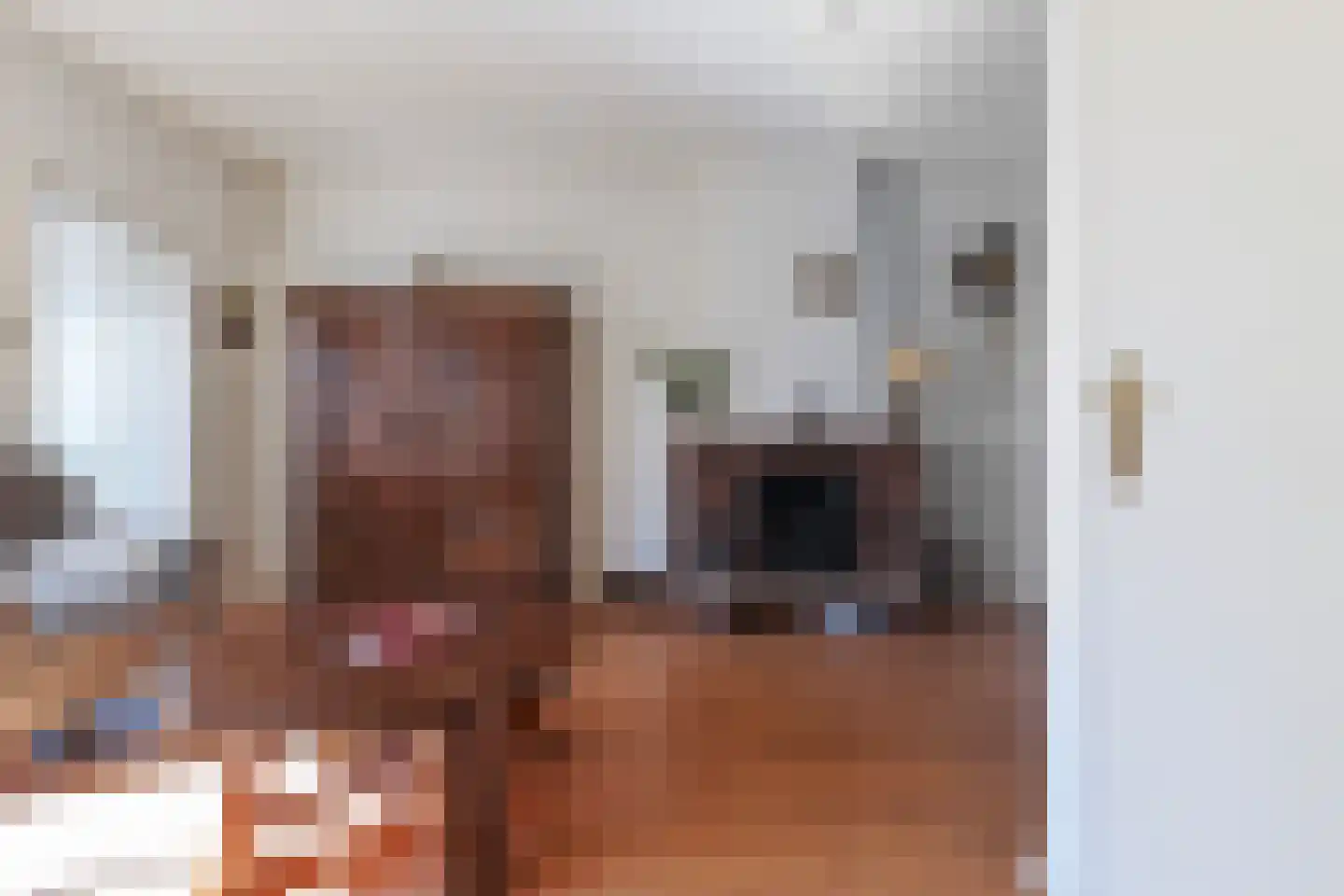 Meidoornstraat 18 Tilburg thumbnail 12