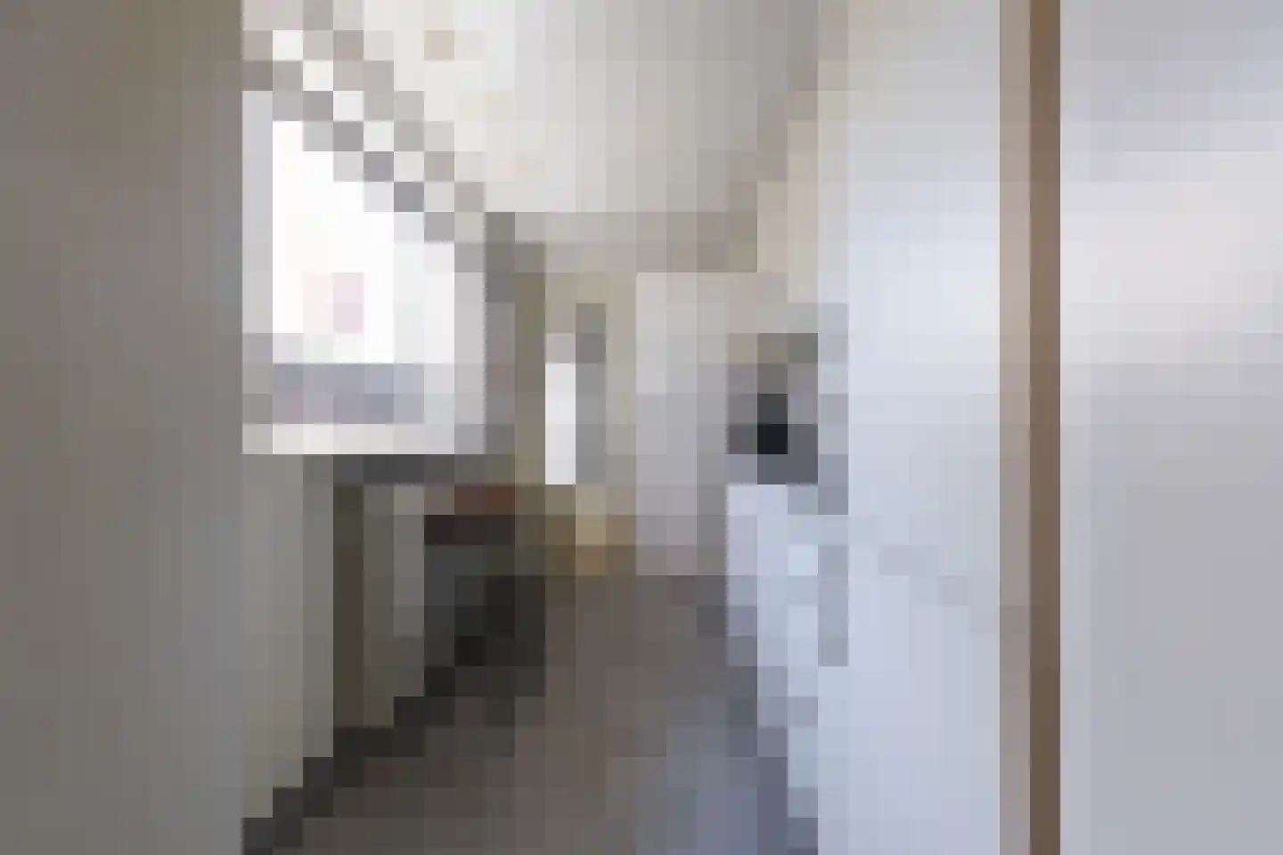 Meidoornstraat 18 Tilburg thumbnail 17