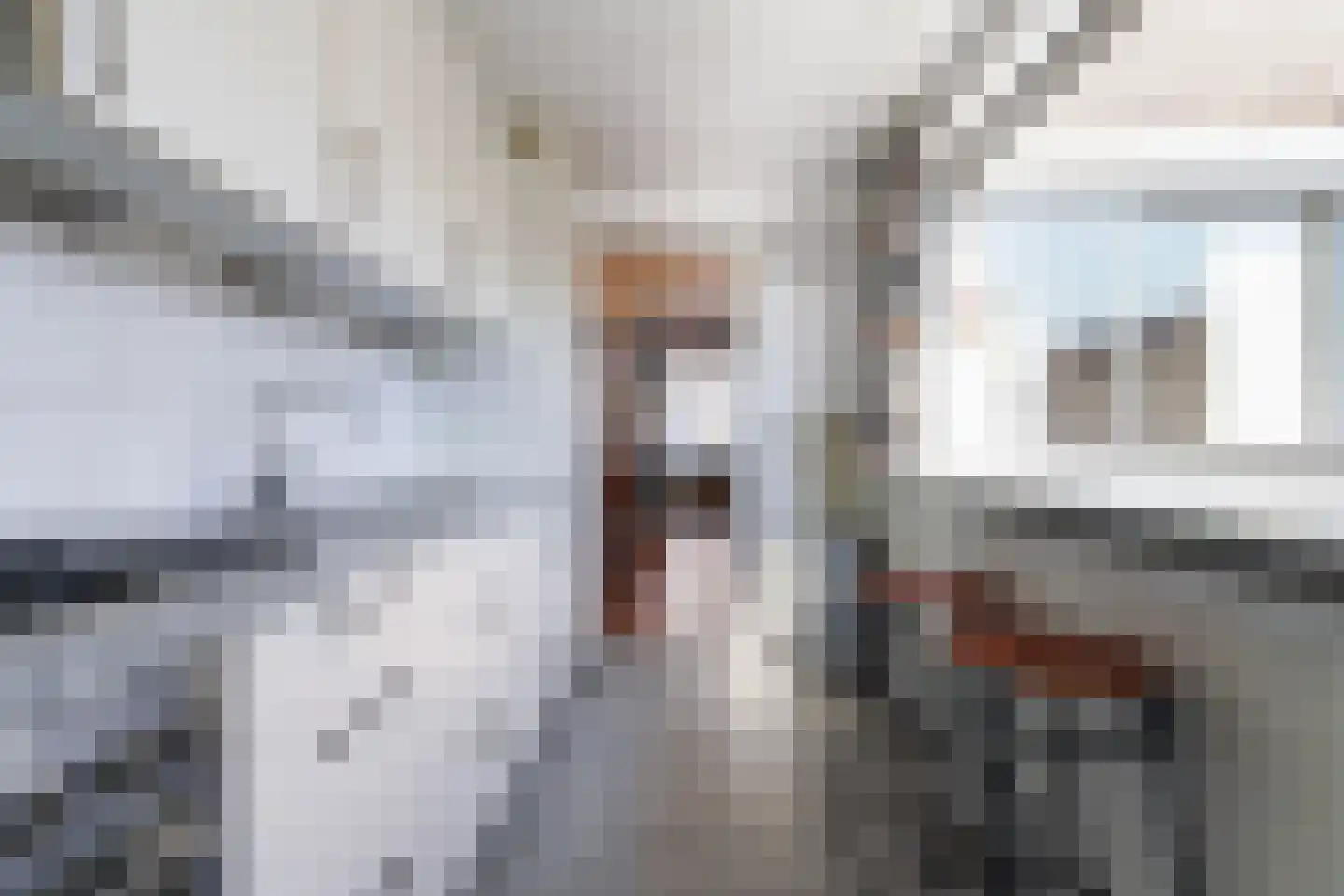 Meidoornstraat 18 Tilburg thumbnail 18