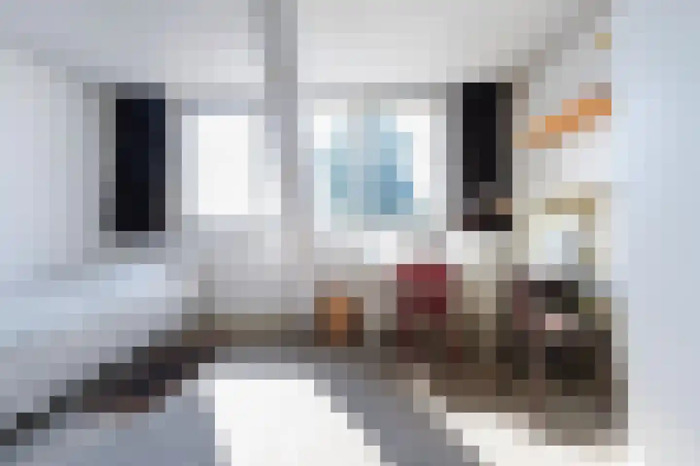 Meidoornstraat 18 Tilburg thumbnail 27