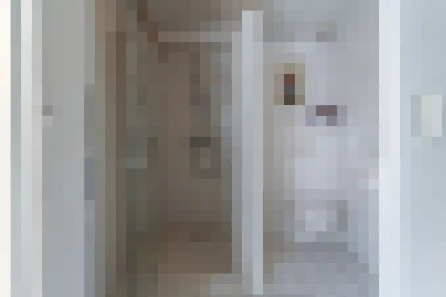 Meidoornstraat 18 Tilburg thumbnail 30