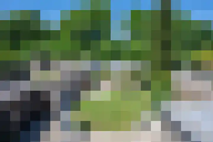 Meidoornstraat 19 Geleen thumbnail 31