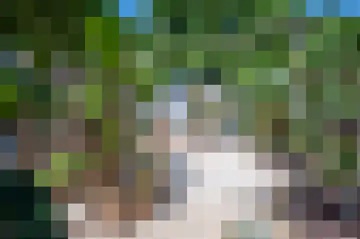 Meidoornstraat 19 Geleen thumbnail 38