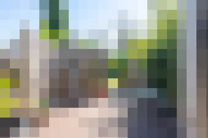 Meidoornstraat 19 Geleen thumbnail 47