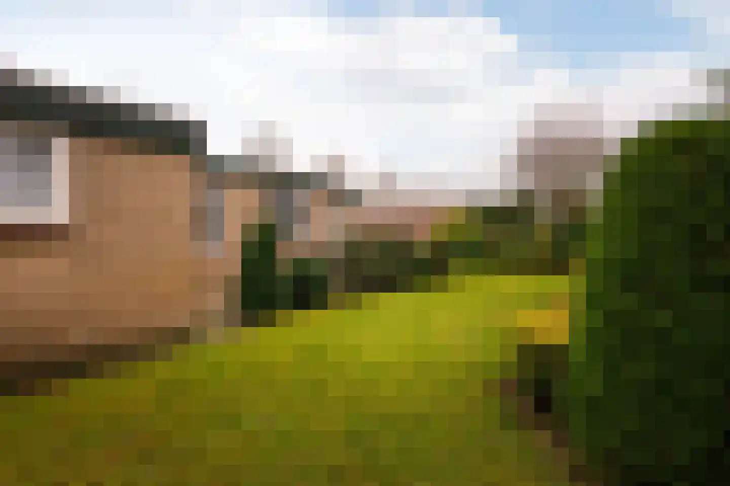 Meidoornstraat 19 Putte thumbnail 29