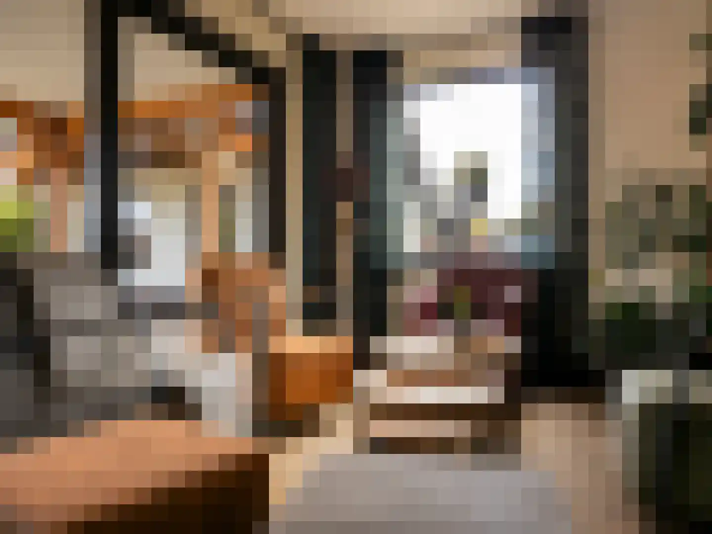 Meidoornstraat 19 St. Willebrord thumbnail 10