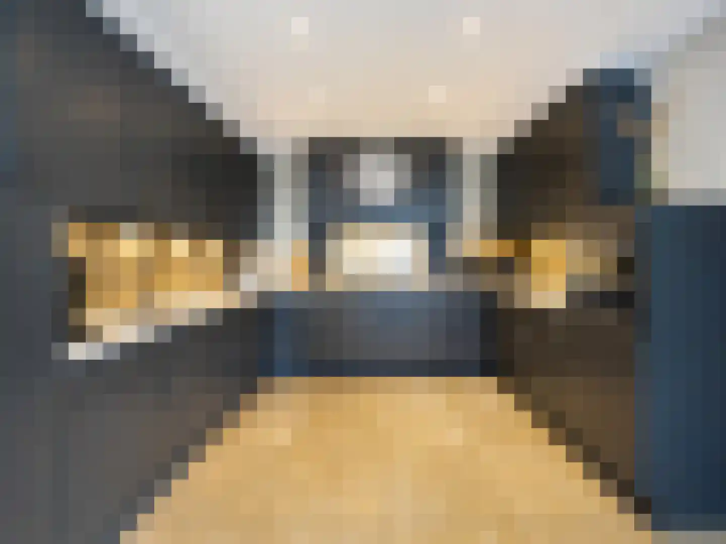 Meidoornstraat 19 St. Willebrord thumbnail 11