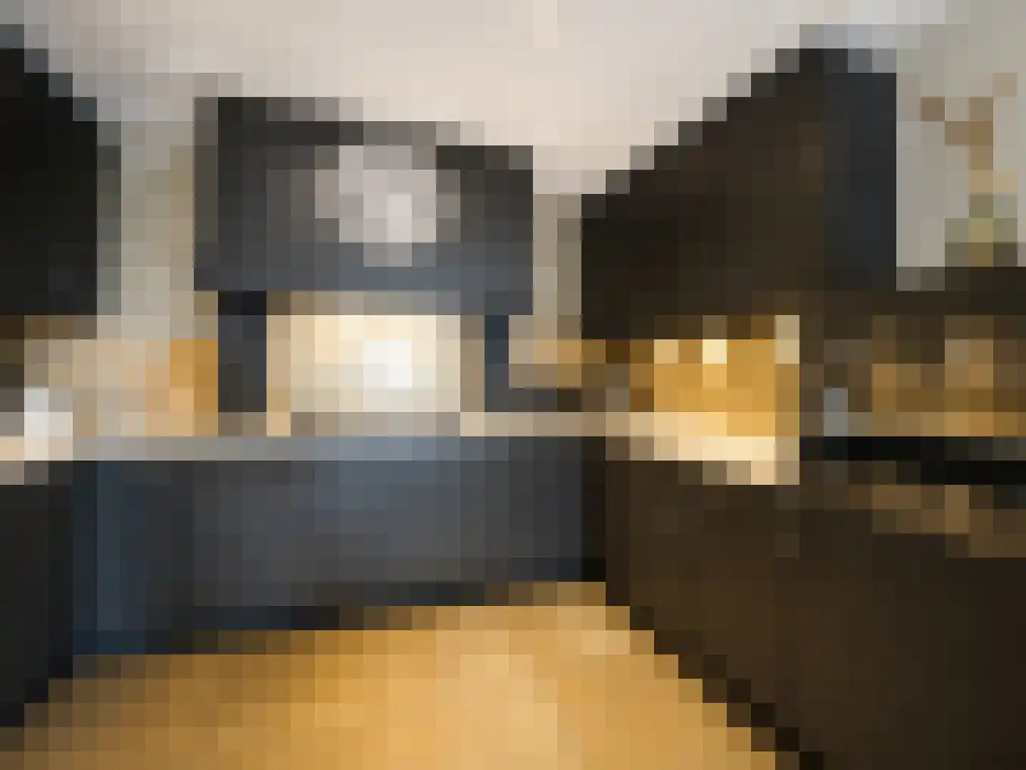 Meidoornstraat 19 St. Willebrord thumbnail 14