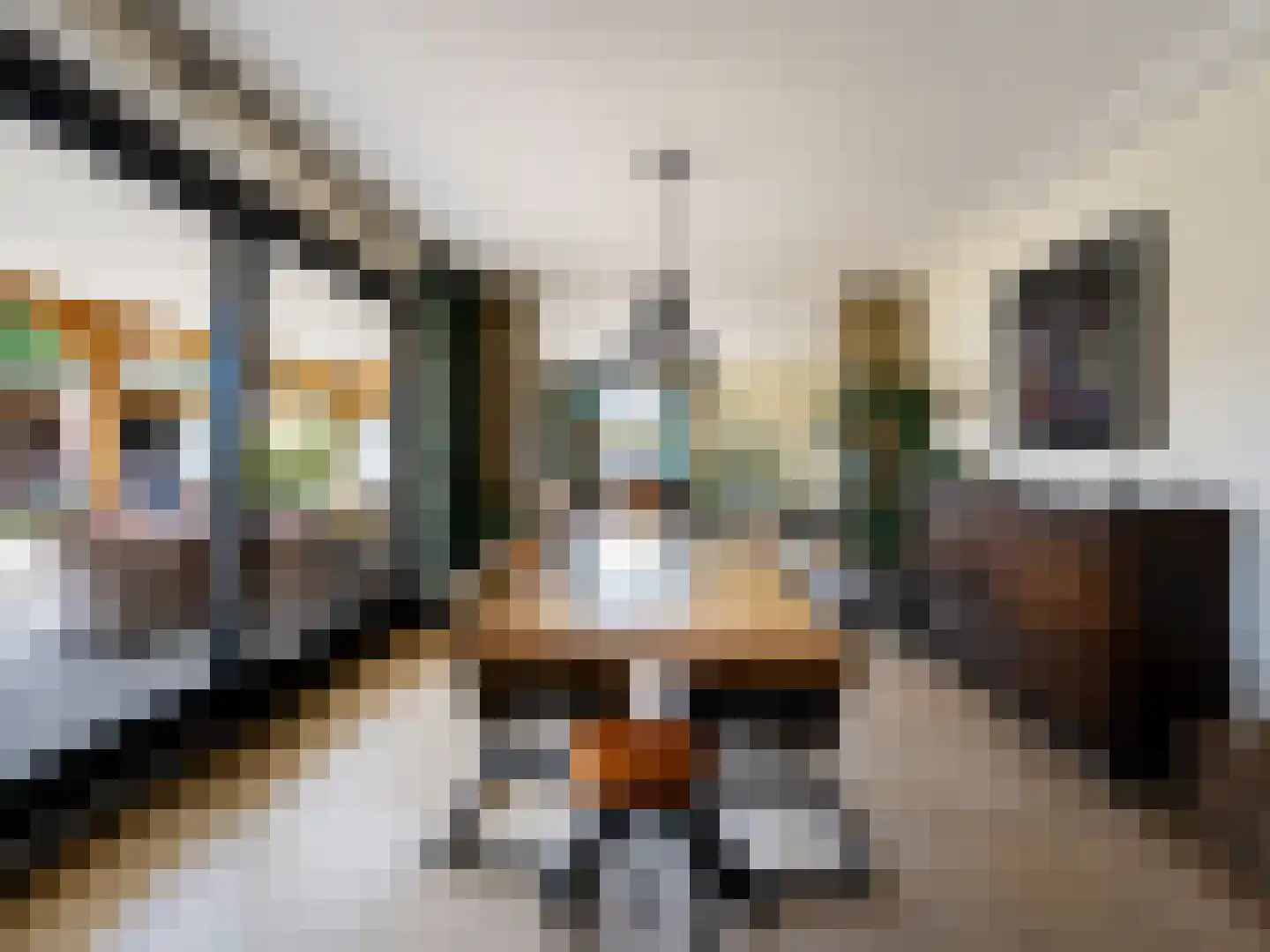 Meidoornstraat 19 St. Willebrord thumbnail 22