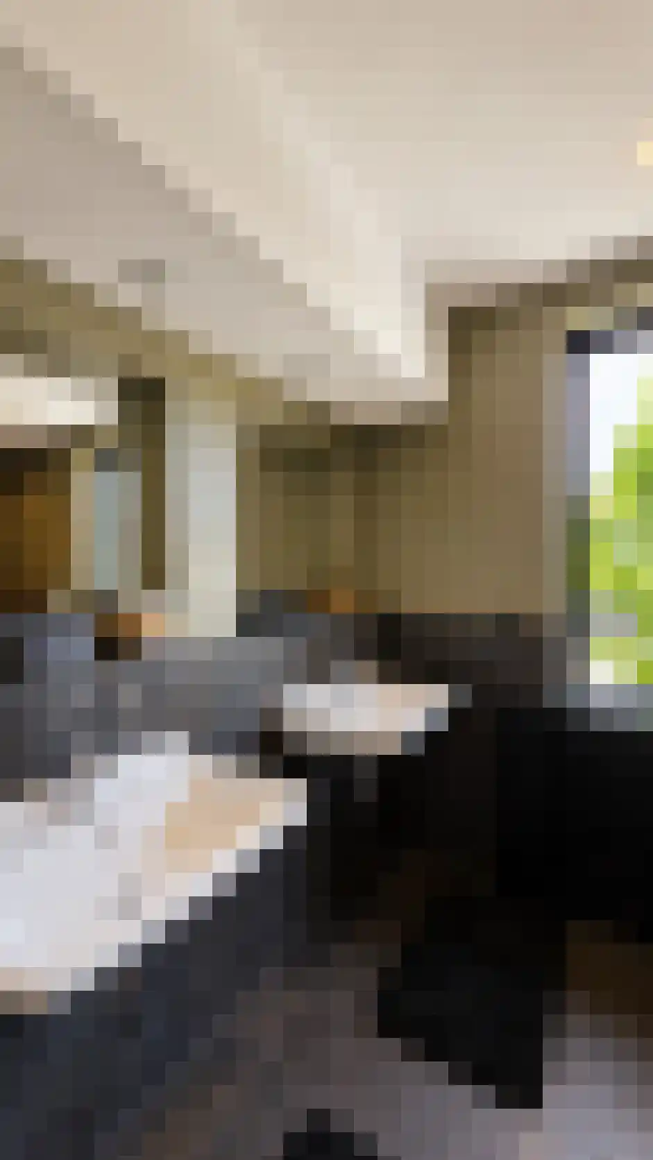Meidoornstraat 19 St. Willebrord thumbnail 30