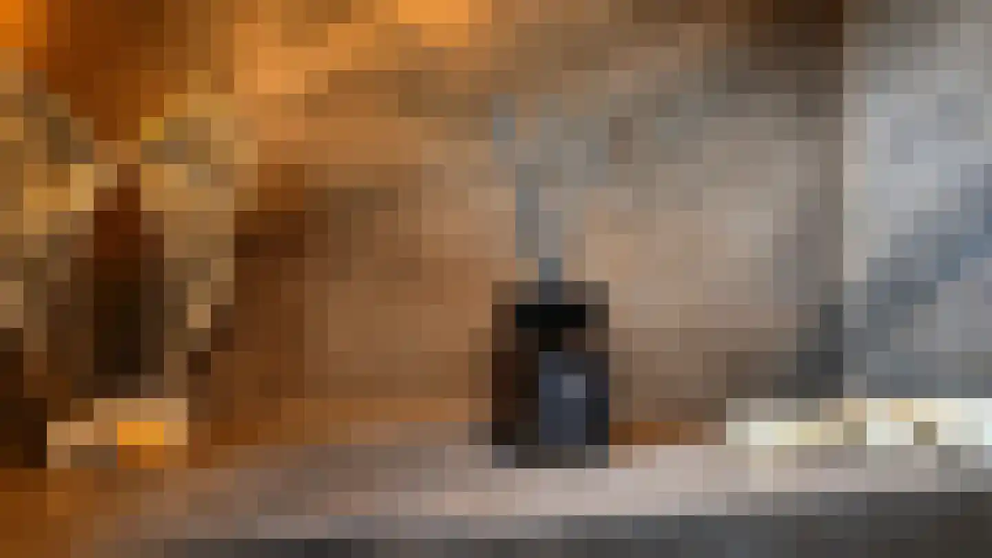 Meidoornstraat 19 St. Willebrord thumbnail 38