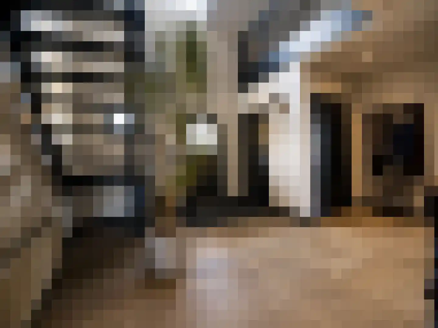 Meidoornstraat 19 St. Willebrord thumbnail 43