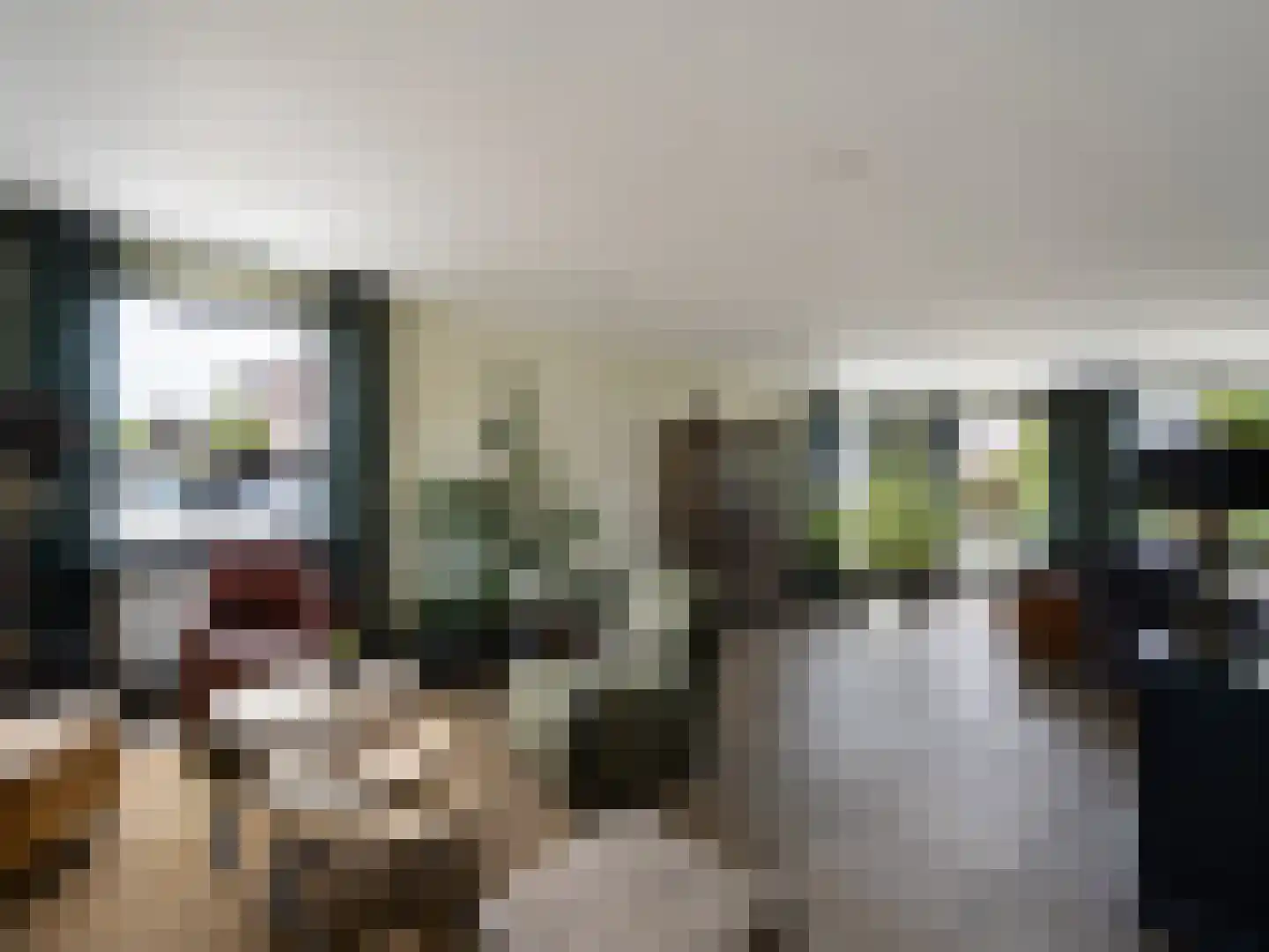 Meidoornstraat 19 St. Willebrord thumbnail 5